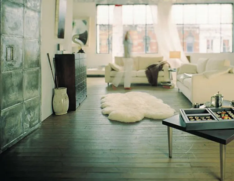 Natural White New Zealand Sheepskin Area Rug Photo 5