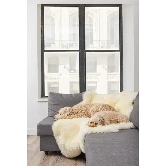 Natural White New Zealand Sheepskin Area Rug Photo 4