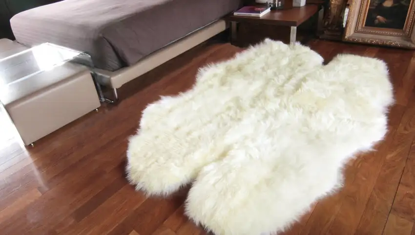 Natural White New Zealand Sheepskin Area Rug Photo 6