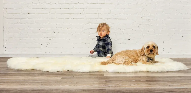 Natural White New Zealand Sheepskin Area Rug Photo 3