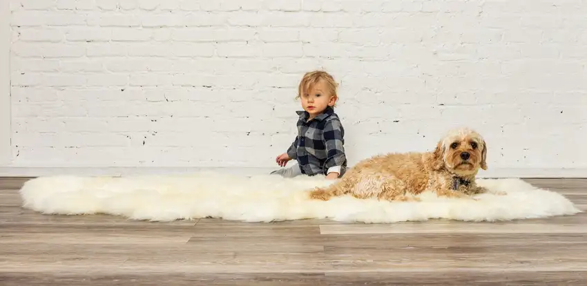 Natural White New Zealand Sheepskin Area Rug Photo 3