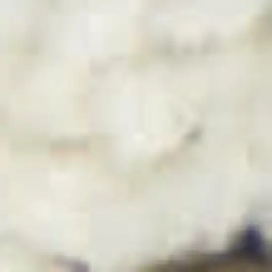 Blue And Gray Floral Indoor Outdoor Area Rug Photo 1