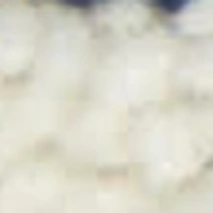 Blue And Gray Indoor Outdoor Area Rug Photo 1