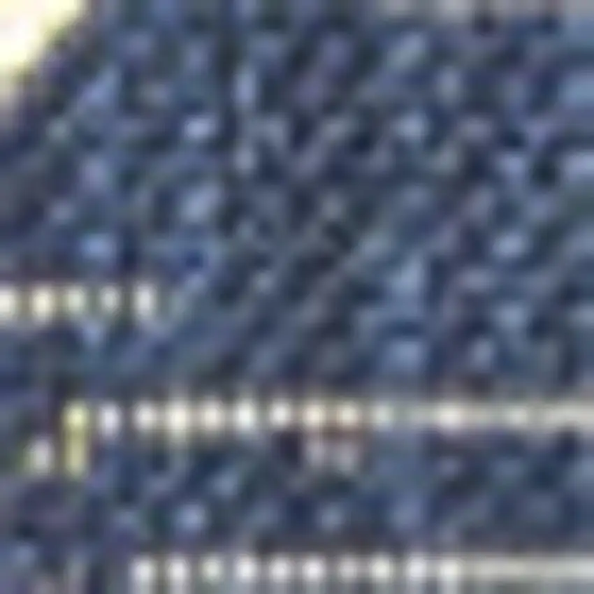 Navy Blue And Beige Trellis Indoor Outdoor Area Rug Photo 2