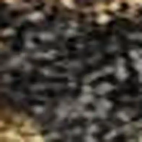 Navy Blue And Copper Damask Washable Area Rug With UV Protection Photo 2