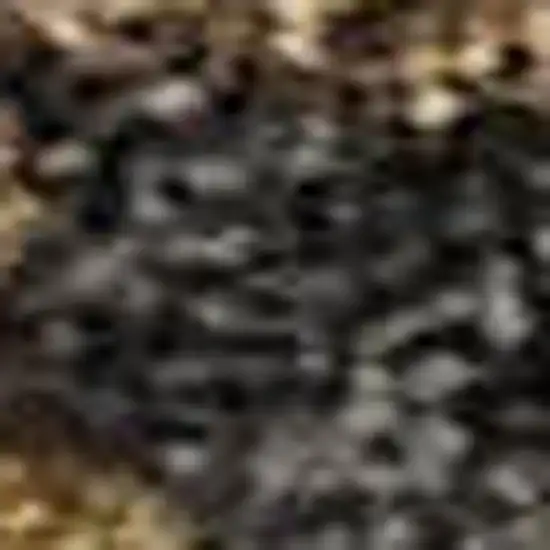 Navy Blue And Copper Damask Washable Area Rug With UV Protection Photo 2