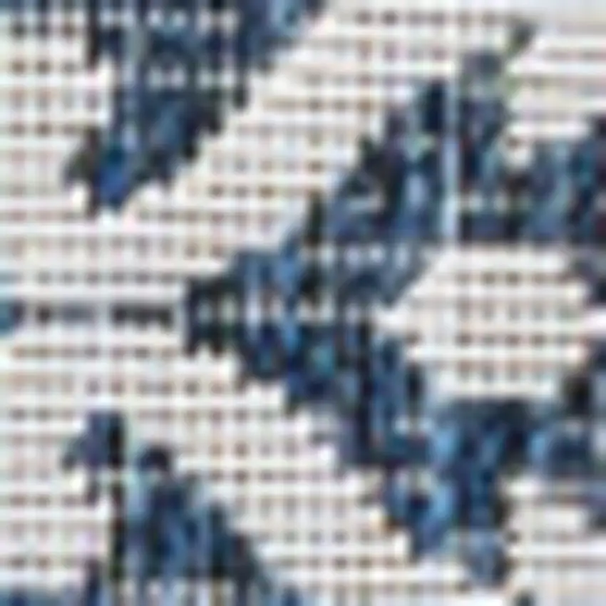 Navy Blue And Cream Floral Indoor Outdoor Area Rug Photo 2