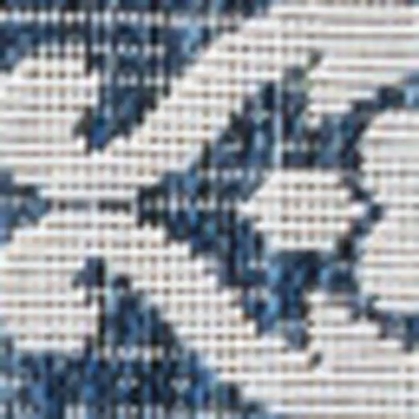 Navy Blue And Cream Floral Indoor Outdoor Area Rug Photo 3