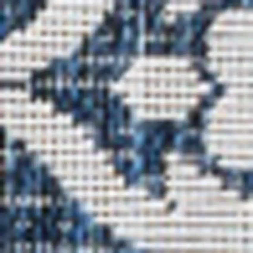 Navy Blue And Cream Floral Indoor Outdoor Area Rug Photo 2