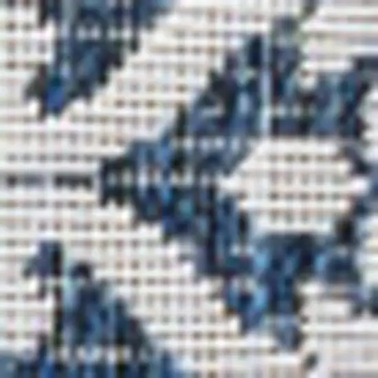 Navy Blue And Cream Floral Indoor Outdoor Area Rug Photo 2