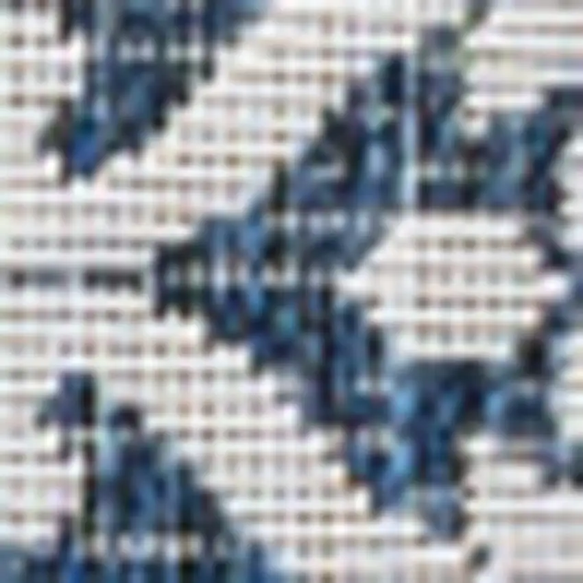 Navy Blue And Cream Floral Indoor Outdoor Area Rug Photo 2