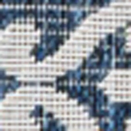 Navy Blue And Cream Floral Indoor Outdoor Area Rug Photo 2