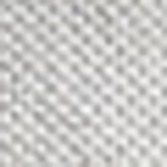 Navy Blue And Cream Floral Indoor Outdoor Area Rug Photo 2