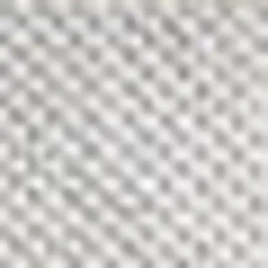 Navy Blue And Cream Floral Indoor Outdoor Area Rug Photo 2