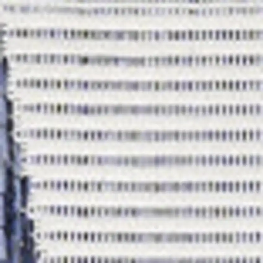 Navy Blue And Cream Geometric Indoor Outdoor Area Rug Photo 2