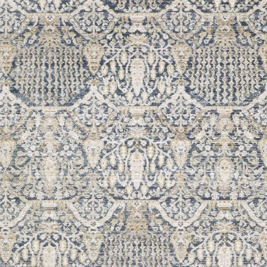 Navy Blue And Gold Oriental Area Rug Photo 3