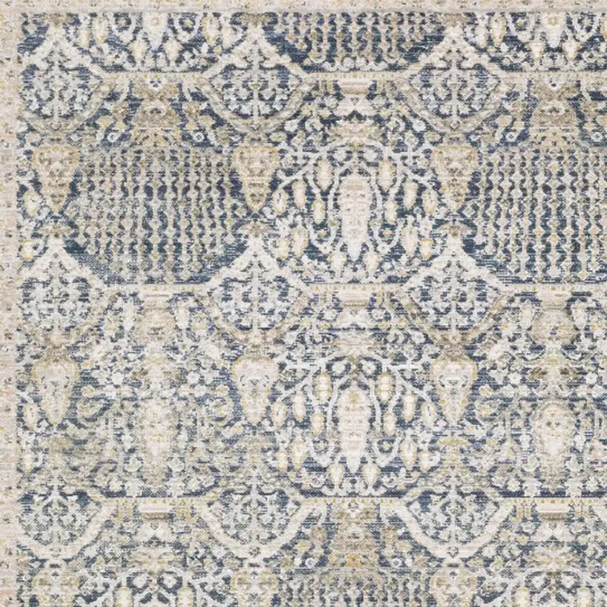 Navy Blue And Gold Oriental Area Rug Photo 3