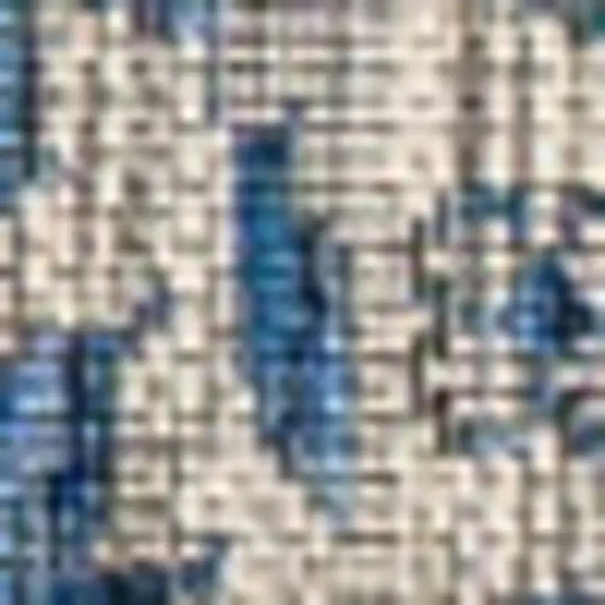 Navy Blue And Gray Medallion Indoor Outdoor Area Rug Photo 3