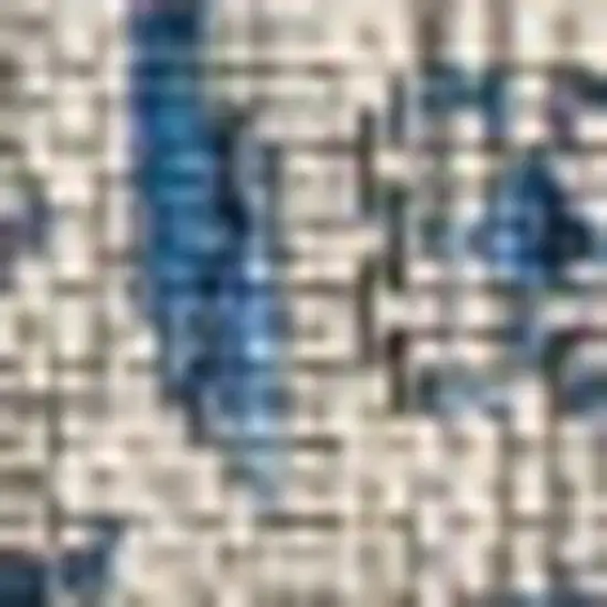 Navy Blue And Gray Medallion Indoor Outdoor Area Rug Photo 2