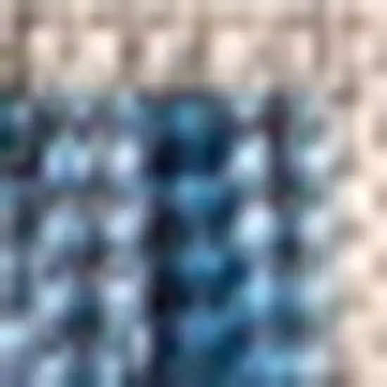 Navy Blue And Gray Medallion Indoor Outdoor Area Rug Photo 2