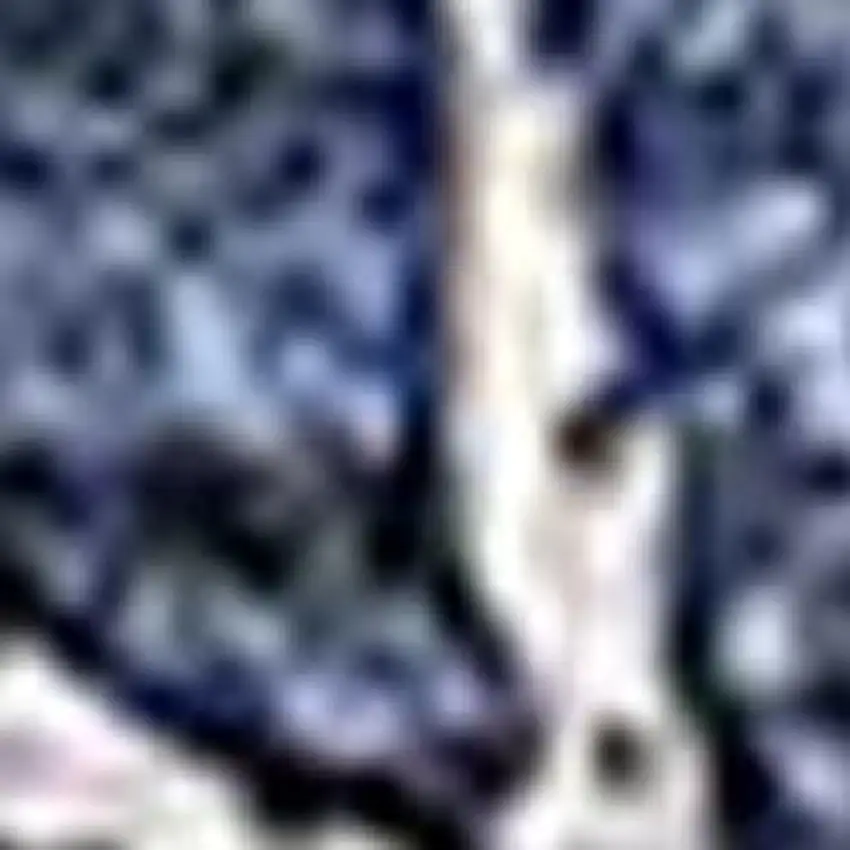 Navy Blue And Ivory Floral Washable Area Rug With UV Protection Photo 4