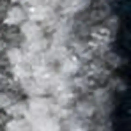 Navy Blue And Ivory Medallion Area Rug Photo 4