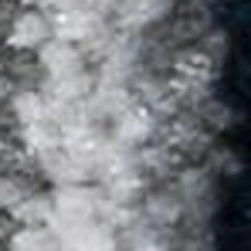 Navy Blue And Ivory Medallion Area Rug Photo 4