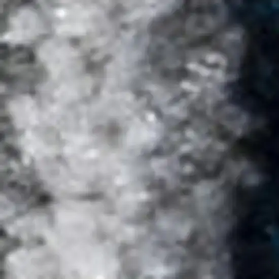 Navy Blue And Ivory Medallion Area Rug Photo 4