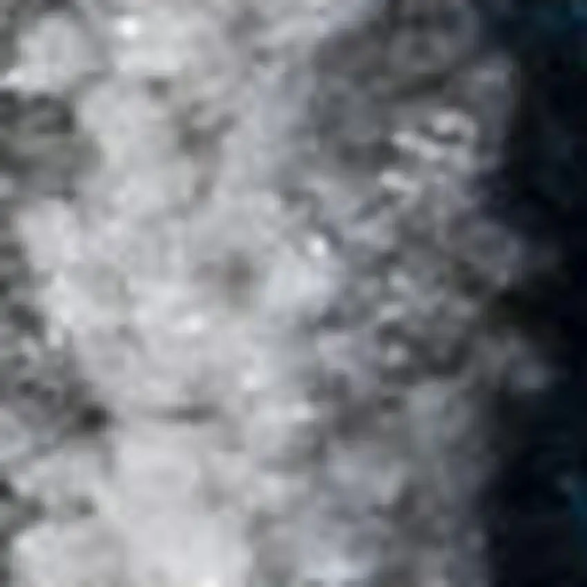 Navy Blue And Ivory Medallion Area Rug Photo 4