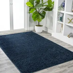 Photo of Navy Blue Area Rug