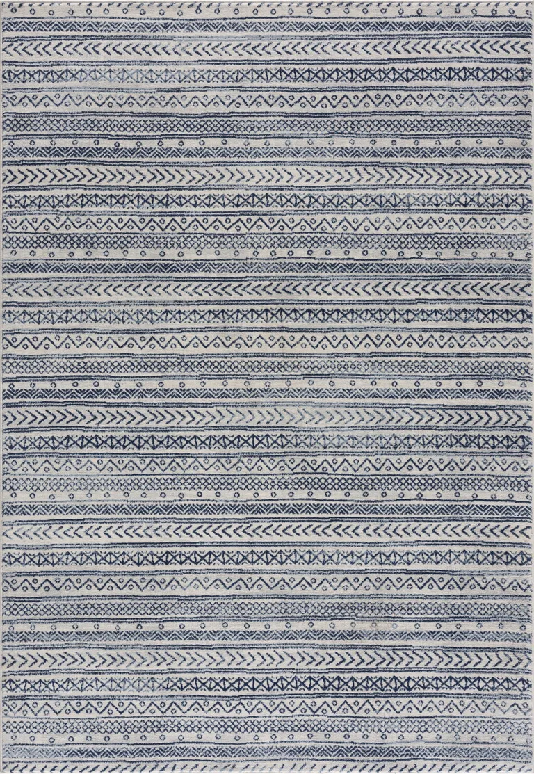 Navy Blue Decorative Stripes Area Rug Photo 1