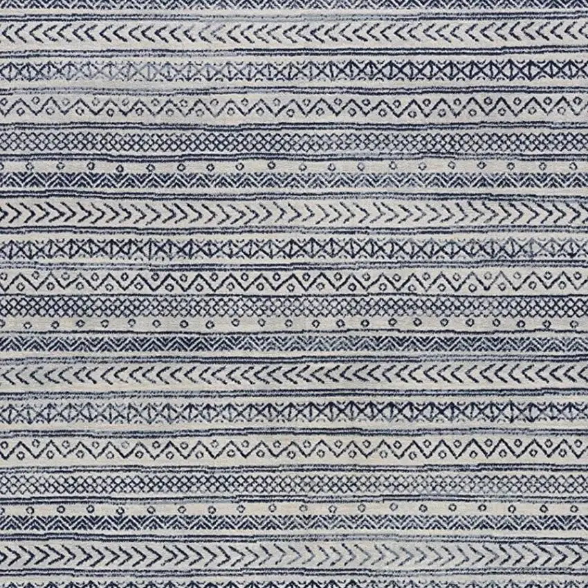 Navy Blue Decorative Stripes Area Rug Photo 9