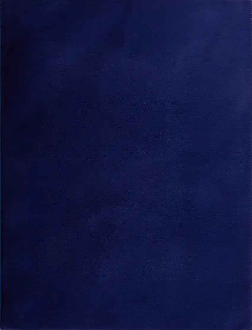Navy Blue Faux Fur Shag Non Skid Area Rug Photo 6