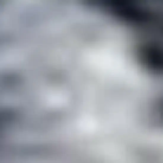 Navy Blue Floral Power Loom Distressed Area Rug Photo 3