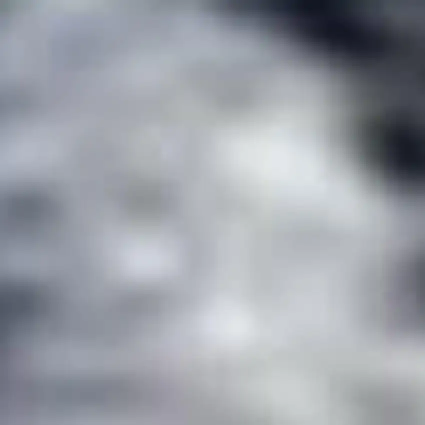 Navy Blue Floral Power Loom Distressed Area Rug Photo 3