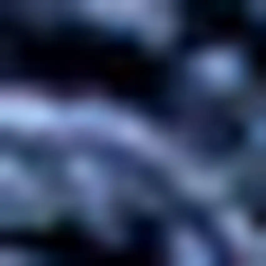 Navy Blue Jute Handmade Area Rug Photo 3