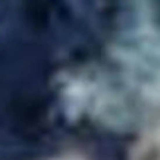 Navy Blue Light Blue and Gray Botanical Leaves Area Rug Photo 3