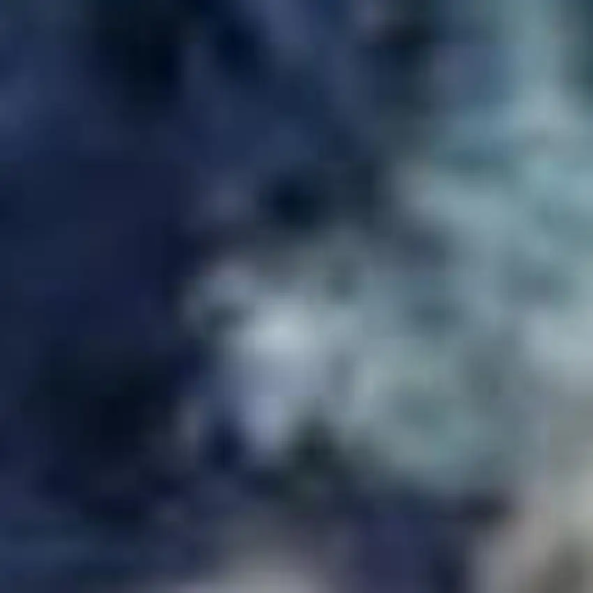 Navy Blue Light Blue and Gray Botanical Leaves Area Rug Photo 3