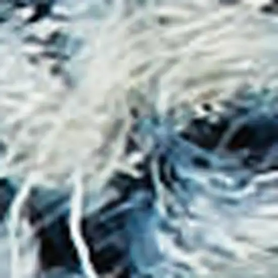 Navy Blue Wool Area Rug Photo 2