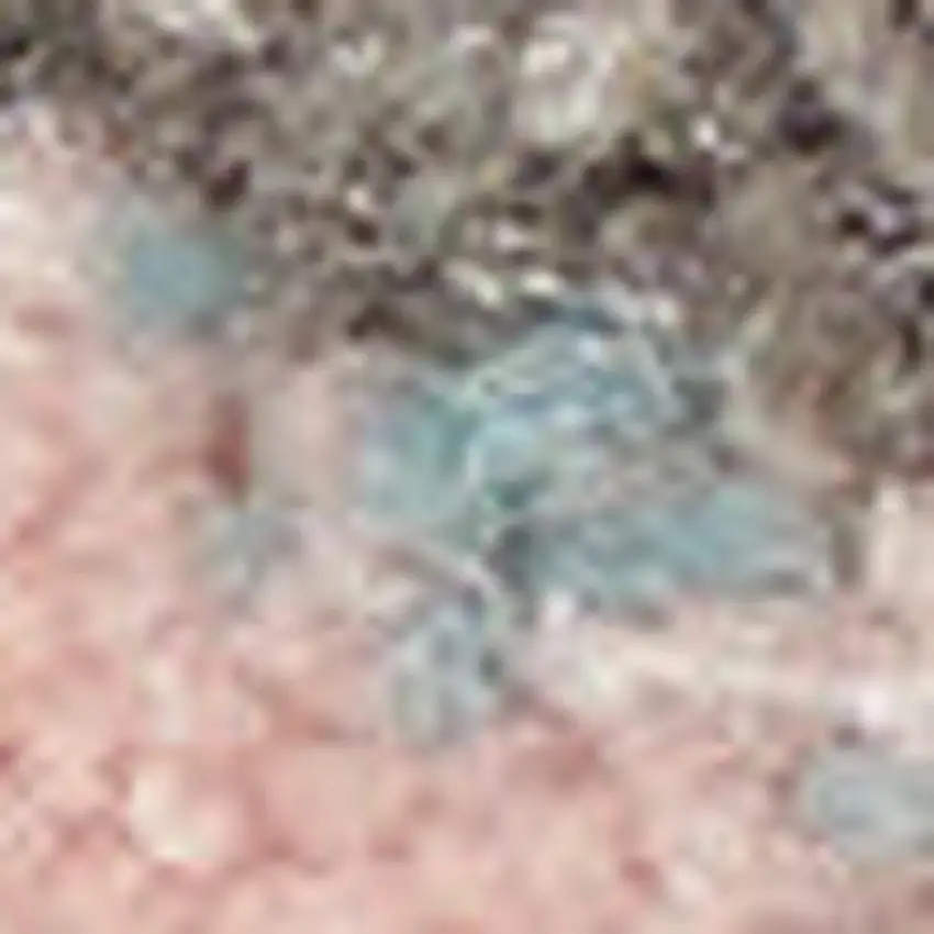 Navy Blue and Beige Botanical Leaves Area Rug Photo 3