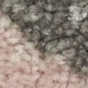 Photo of Navy Blue and Beige Botanical Leaves Area Rug