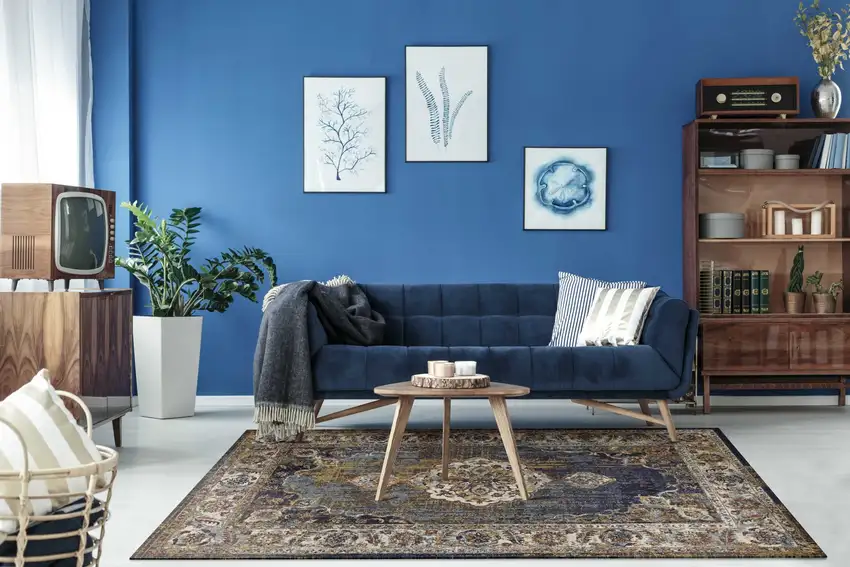 Navy Traditional Bordered Area Rug Photo 5