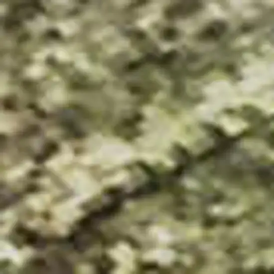 Olive Green And Beige Abstract Washable Area Rug With UV Protection Photo 2