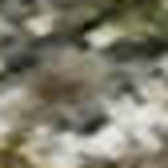 Olive Green And Gray Abstract Washable Area Rug With UV Protection Photo 1