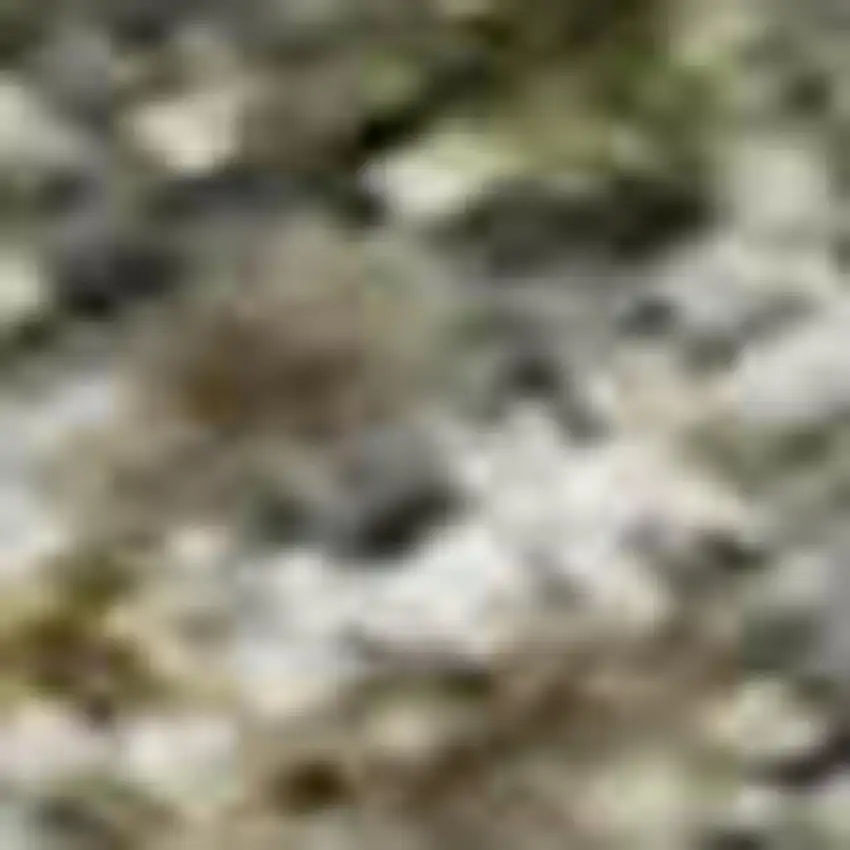 Olive Green And Gray Abstract Washable Area Rug With UV Protection Photo 4