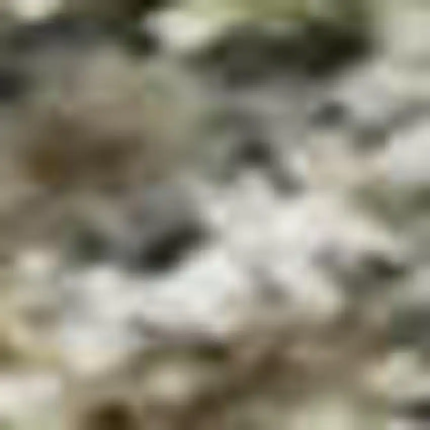 Olive Green And Gray Abstract Washable Area Rug With UV Protection Photo 1