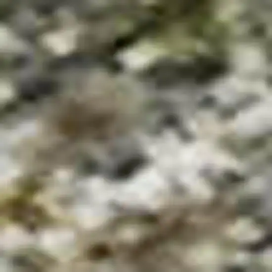 Olive Green And Gray Abstract Washable Area Rug With UV Protection Photo 4