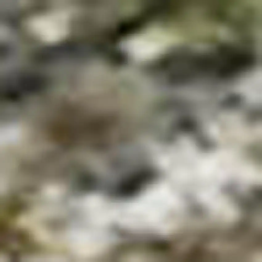 Olive Green And Gray Abstract Washable Area Rug With UV Protection Photo 1