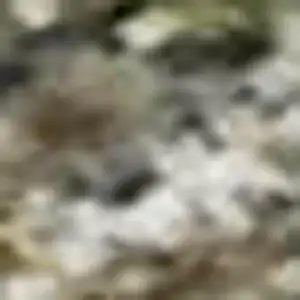 Photo of Olive Green And Gray Abstract Washable Area Rug With UV Protection