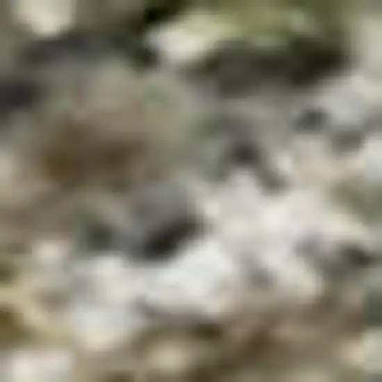 Olive Green And Gray Abstract Washable Area Rug With UV Protection Photo 1